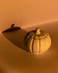 Pumpkin Holder