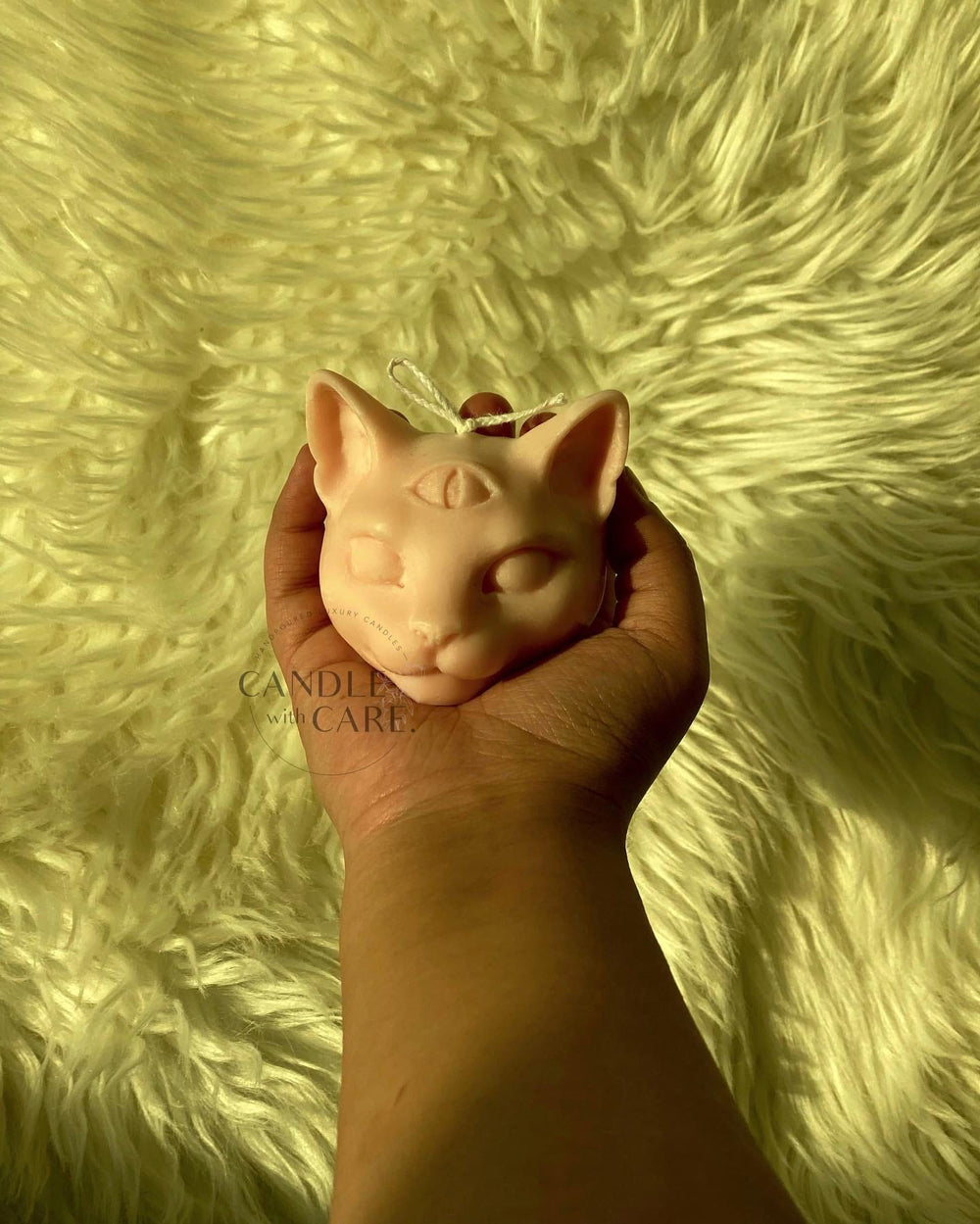 Three eyed Cat