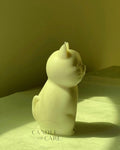 Chonky Cat