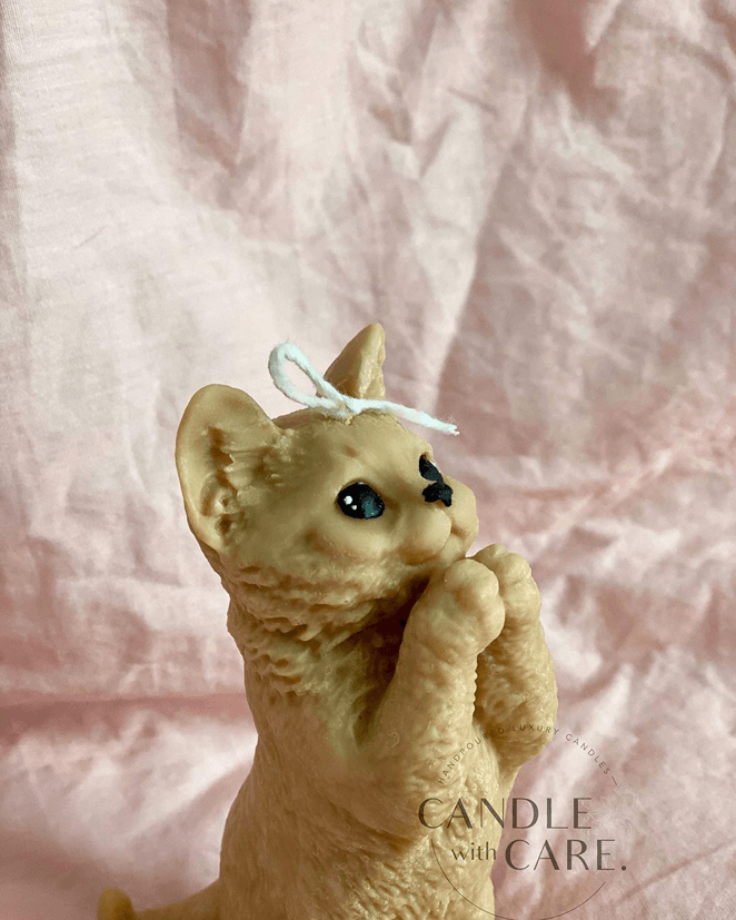 Standing Cat