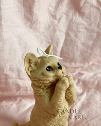 Standing Cat