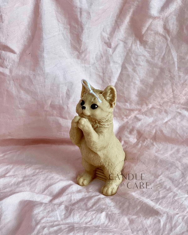 Standing Cat