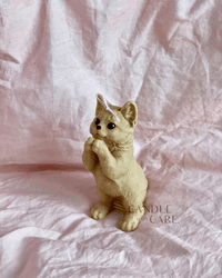 Standing Cat