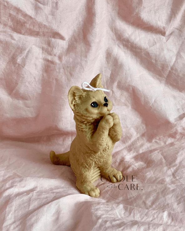 Standing Cat
