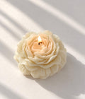 Peony