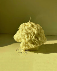 Lion Head