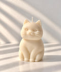 Chonky Cat