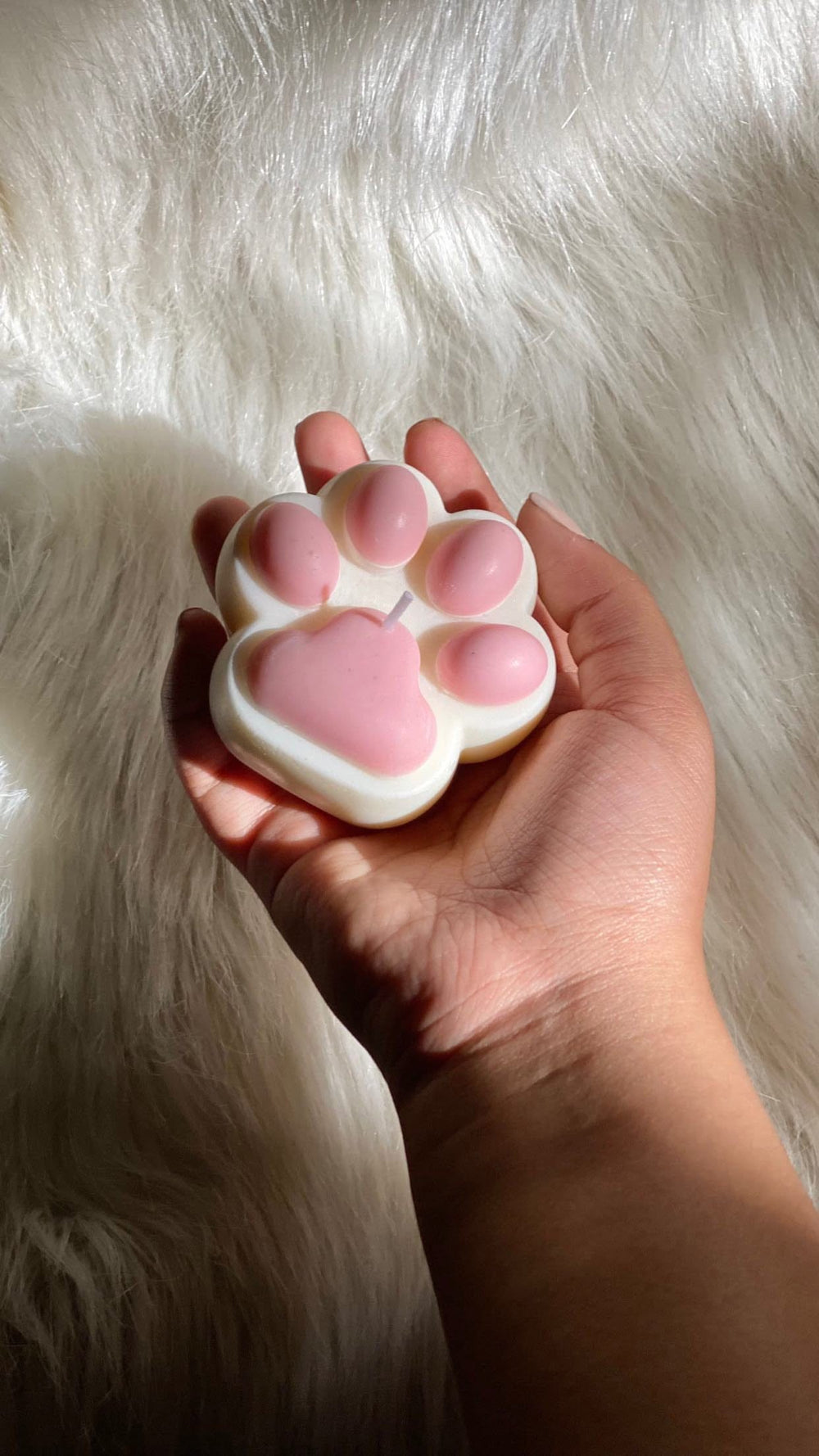 Paw