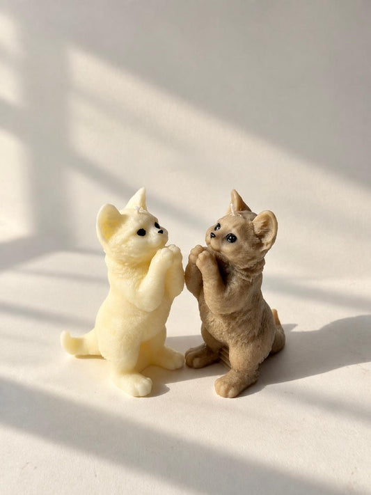 Standing Cat